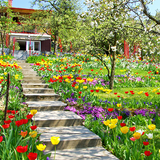 Spring Flowers Garden Wallpape icône
