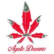 Agate Dreams
