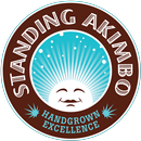 APK Standing Akimbo