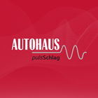 AUTOHAUS pulsSchlag آئیکن