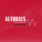 AUTOHAUS pulsSchlag أيقونة