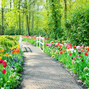 Spring Garden Wallpaper APK