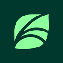 Spring Health APK