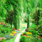 صور الربيع spring pictures icon