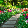 Spring Wallpaper