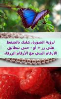 لعبة روبيك 1 الملصق