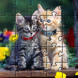 Puzzle chatons mignons