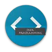 Java Programming