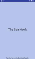 The Sea Hawk - eBook poster