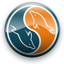 MySQL Remote Connect Ads APK