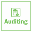 Auditing