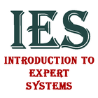Expert System icon