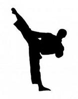Karate ảnh chụp màn hình 1