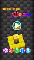 Square Snake : Endless Runner poster