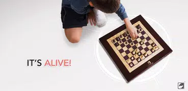 Square Off Chess- Play & Learn