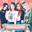 Stiker Blackpink WAStiker icon