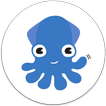 SquidHub: Collaborer et Organi