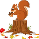 Squirrel APK