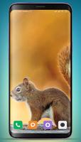 Squirrel Wallpaper HD capture d'écran 3