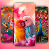 Birds Wallpaper in 4K APK