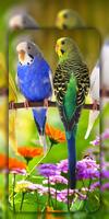 Birds Wallpapers in 4K screenshot 3