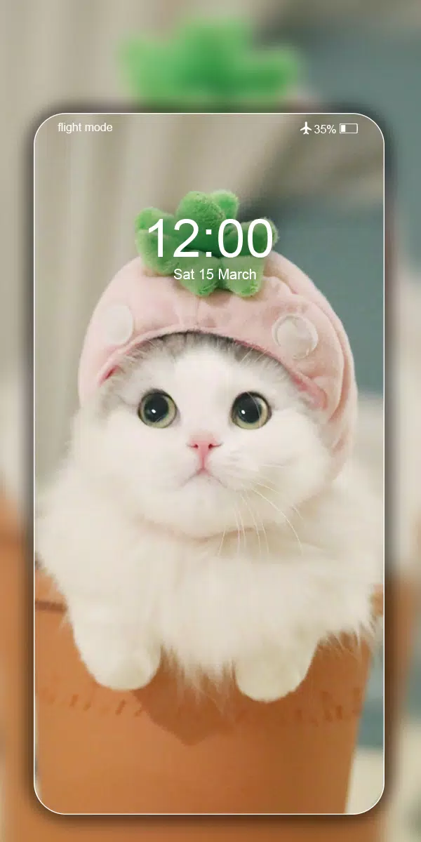 Cute Cat Wallpaper Live HD 4K APK for Android Download