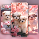 Dog Wallpaper & Cute Puppy 4K