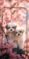 Dog Wallpapers & Cute Puppy 4K capture d'écran 1