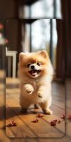 Dog Wallpapers & Cute Puppy 4K 스크린샷 2