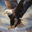 Eagle Wallpaper 4K