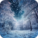 Winter Wallpape in 4K HD APK