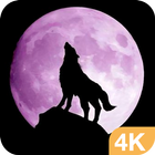 Wolf Wallpapers in 4K HD آئیکن