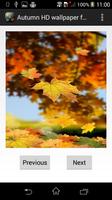 Autumn HDwallpaper for Viber Affiche