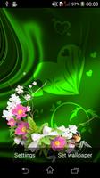Blossom Flower HD Wallpapers Affiche