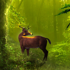 Galaxy Deer HD Live Wallpaper icon