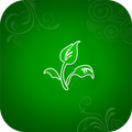 Floral wallpaper for whatsapp