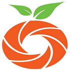 Orange Restaurant icône