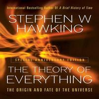 The Theory of Everything ポスター