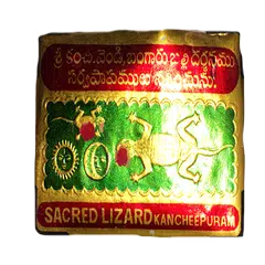 Balli Shastra (Palli Dosham)