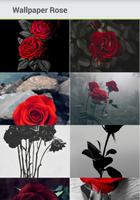 Wallpaper Rose Flower Live 4K / HD syot layar 1