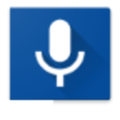 Voice SMS