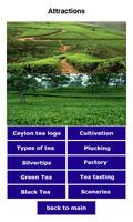 Ceylon Tea ポスター