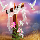 Christmas HD Wallpapers APK