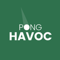 Pong Havoc : Block vs Ball Arkanoid Puzzle Game