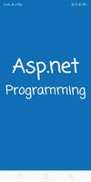 ASP.Net  Programming - 2019 Affiche