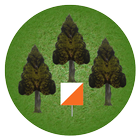 Orienteering for Beginner icon