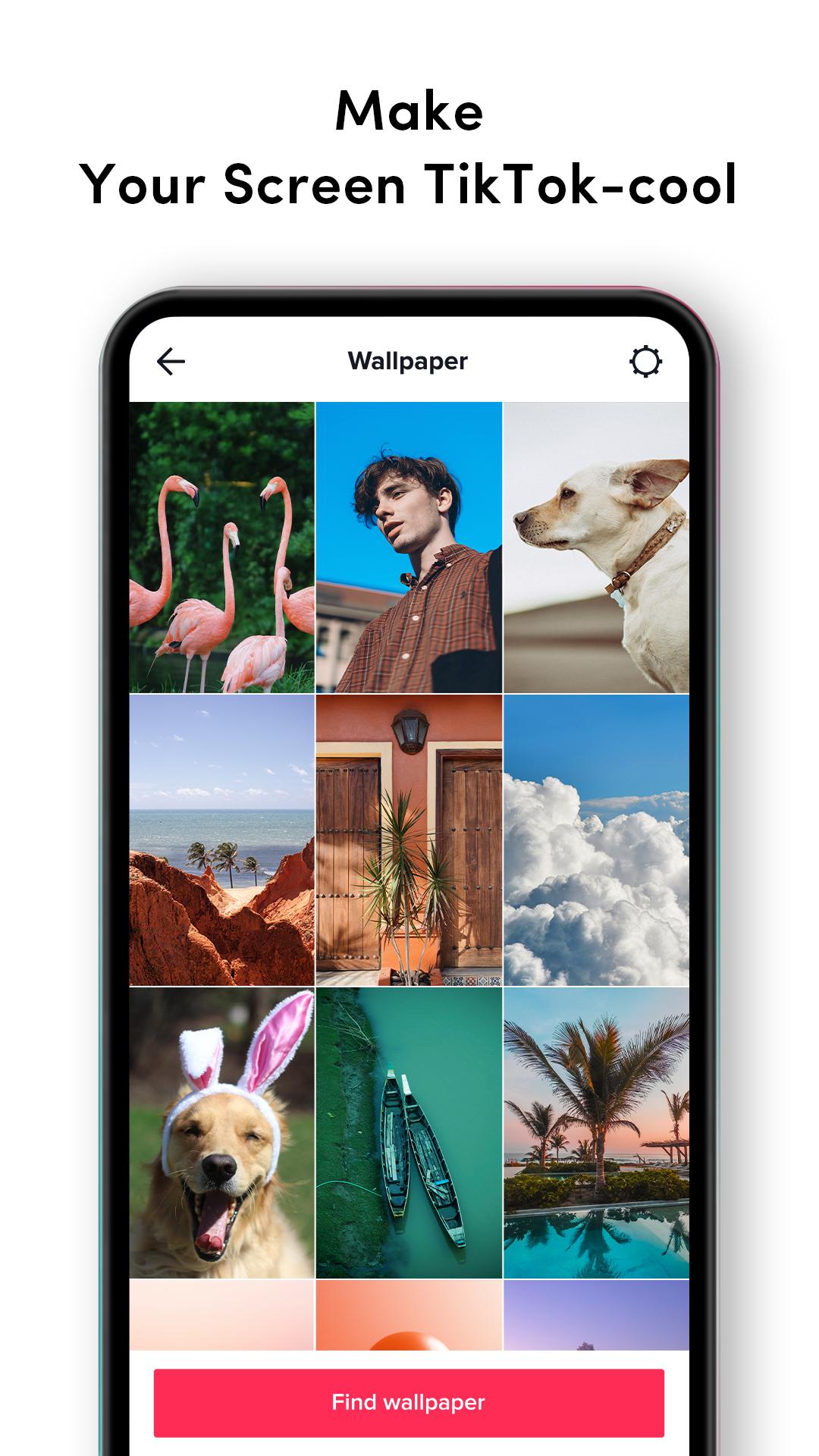 TikTok Live Wallpaper APK for Android Download TikTok Live Wallpaper APK for Android Download