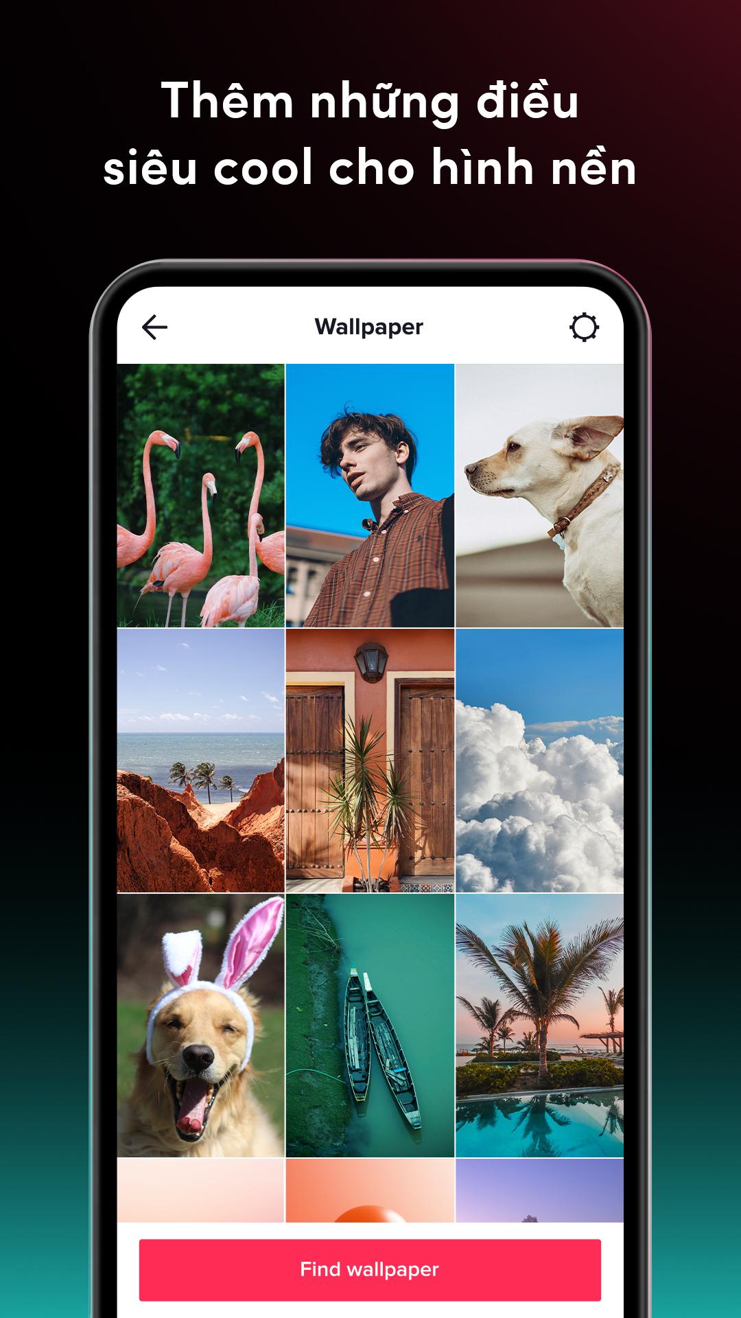 Tải xuống APK TikTok Video Wallpaper cho Android Tải xuống APK TikTok Video Wallpaper cho Android