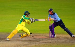 New World Cricket 2021 截图 1
