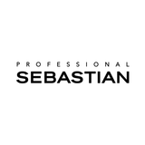 Sebastian icône